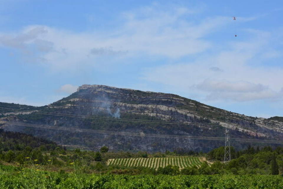 N2 Montagne d'Alaric (11)