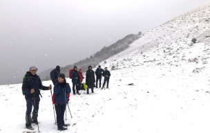 Sorties de Novembre à Janvier (L'Entécade, le Pla Madame, Hourmigué, Sommet de Mentiès)